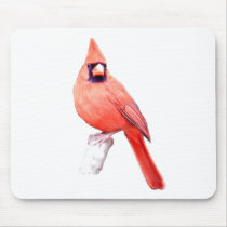 Beautiful Cardinal Mouse Pads