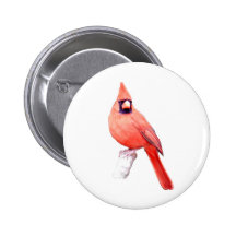 Beautiful Cardinal Pinback Button