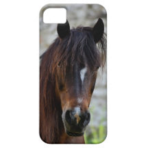 Beautiful Chestnut Brown Horse iPhone Case iPhone 5 Cases