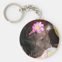 Beautiful Chinese Crested Key Chain