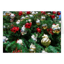 Beautiful Christmas Greeting Card!