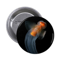 Beautiful Clione Pinback Buttons