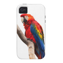 Beautiful Colorful Scarlet Macaw Parrot Bird Case For The iPhone 4