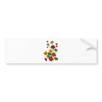 Beautiful Colourful Embroidered Nasturtiums
