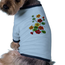 Beautiful Colourful Embroidered Nasturtiums
