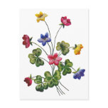 Beautiful Colourful Embroidered Wood Sorrel