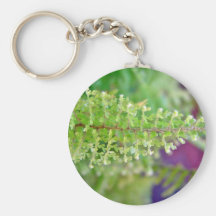 Beautiful Curly fern leaf Key Chain