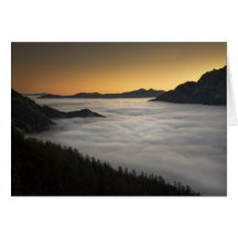 Beautiful Dawn Cards