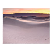 Beautiful Desert Sunrise Postcard