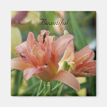 Beautiful Double Daylily Refrigerator Magnet