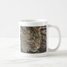 Beautiful Dreamer (sleeping tabby) Mugs