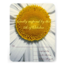 Beautiful Elegant Daisy Wedding RSVP Personalized Invite