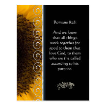 Beautiful Elegant Orange Rose Christian Encourage Postcard
