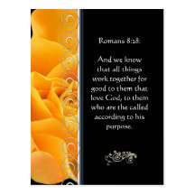 Beautiful Elegant Orange Rose Christian Encourage Post Card