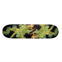 Beautiful Encrusting anemones attached to a sea fa Skate Board Deck