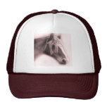 Beautiful Equine - hat