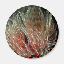 Beautiful Exposed feeding and breathing apparatus Refrigerator Magnets