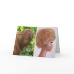 Beautiful Female Hairdo Cards