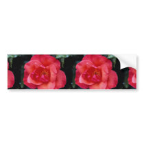 Beautiful Floribunda Bumper Sticker