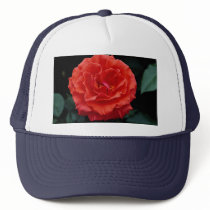 Beautiful Floribunda Hat