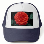 Beautiful Floribunda hats