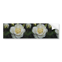 Beautiful Floribunda 'Iceberg' Bumper Sticker