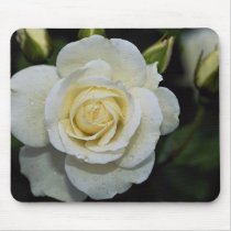 Beautiful Floribunda 'Iceberg' Mousepad