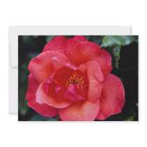 Beautiful Floribunda Custom Invites
