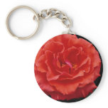 Beautiful Floribunda Key Chains