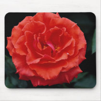 Beautiful Floribunda Mouse Pad