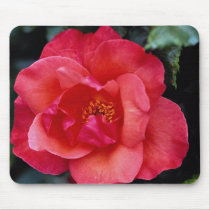 Beautiful Floribunda Mouse Pads