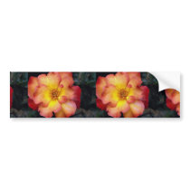Beautiful Floribunda 'Orangeade' Bumper Sticker