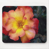 Beautiful Floribunda 'Orangeade' Mouse Pads