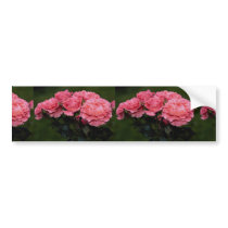 Beautiful Floribunda 'Pleasure' Bumper Stickers