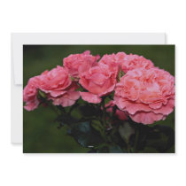 Beautiful Floribunda 'Pleasure' Custom Invites
