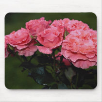 Beautiful Floribunda 'Pleasure' Mouse Pads