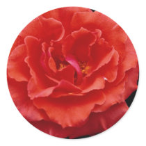 Beautiful Floribunda Sticker