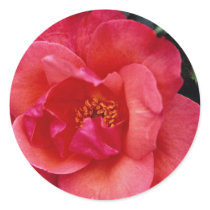 Beautiful Floribunda Sticker