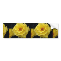 Beautiful Floribunda, yellow Bumper Stickers