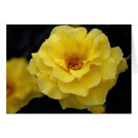 Beautiful Floribunda, yellow Card