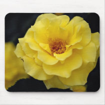 Beautiful Floribunda, yellow Mousepad