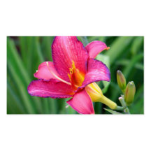 Beautiful flower blooming fun summer colours business card