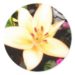 Beautiful flower stickers