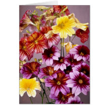 Beautiful Flowers: Birthday Card