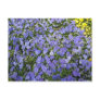 Beautiful Flowers - postcard