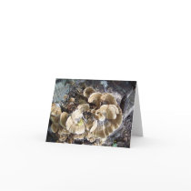 Beautiful Fungus Note Card