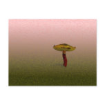 Beautiful Fungus Postcards