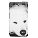 Beautiful furry Samoyed white dog Droid RAZR Cover
