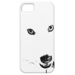 Beautiful furry Samoyed white dog iPhone 5 Cases