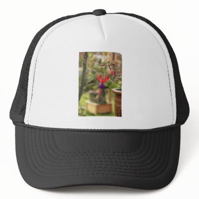 Beautiful Fuschia Hats by Ljrigg